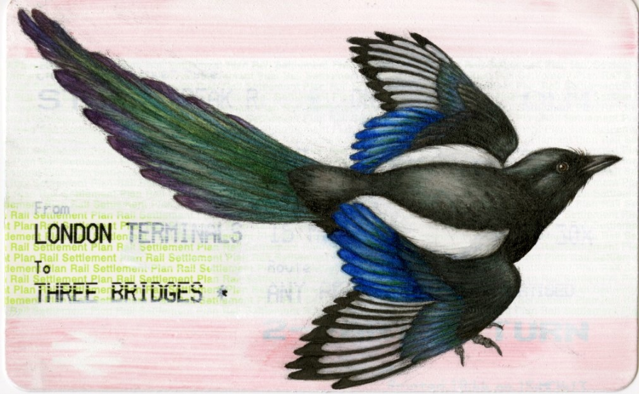 Magpie (2013) by Niroot Puttapipat