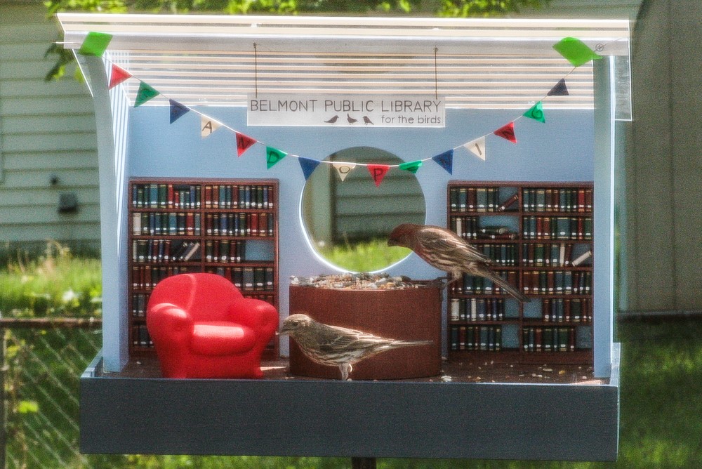 The Belmont Public Library for the Birds