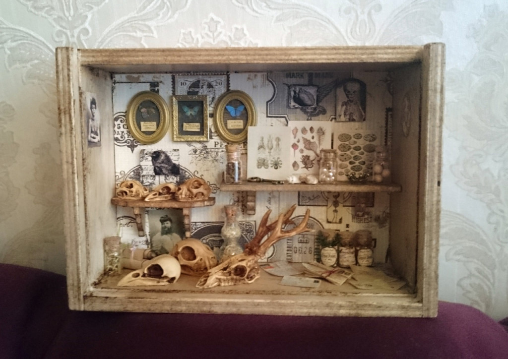 Cabinet of Curiosities shadowbox by poppenkraal